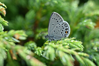 BUITEN BEELD Foto: 449685