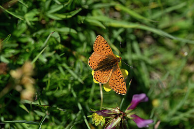 BUITEN BEELD Foto: 449700
