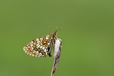 BUITEN BEELD Foto: 449701