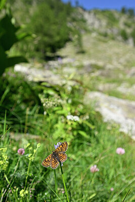 BUITEN BEELD Foto: 449706