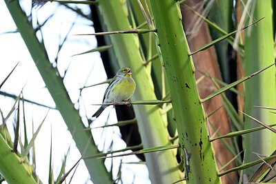 BUITEN BEELD Foto: 449733