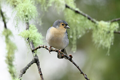 BUITEN BEELD Foto: 449763