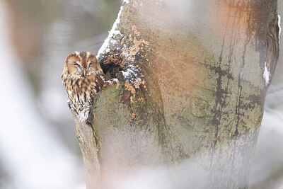 BUITEN BEELD Foto: 449807