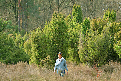BUITEN BEELD Foto: 449830