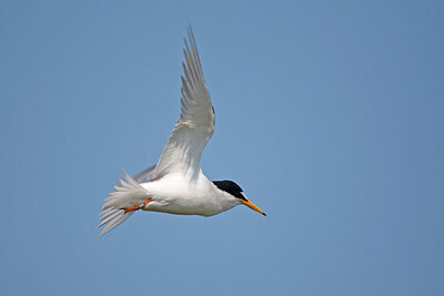 BUITEN BEELD Foto: 449856