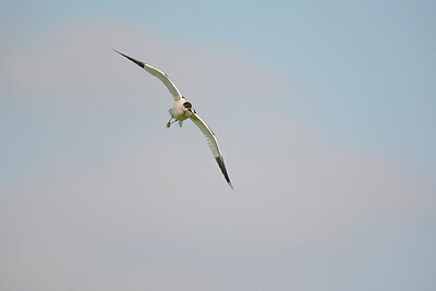 BUITEN BEELD Foto: 449872