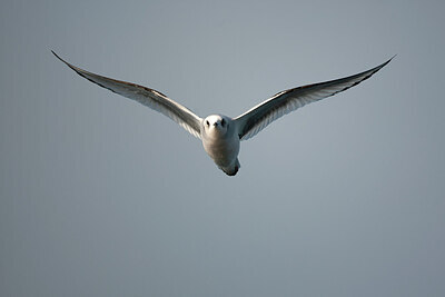 BUITEN BEELD Foto: 449910