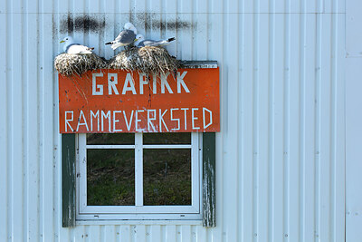 BUITEN BEELD Foto: 449959