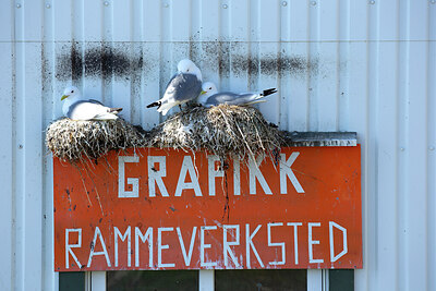 BUITEN BEELD Foto: 449960