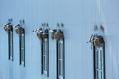 BUITEN BEELD Foto: 449961