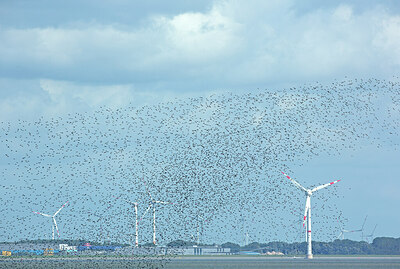 BUITEN BEELD Foto: 449981