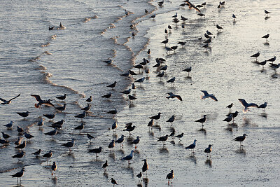 BUITEN BEELD Foto: 449983