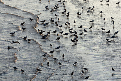 BUITEN BEELD Foto: 449984