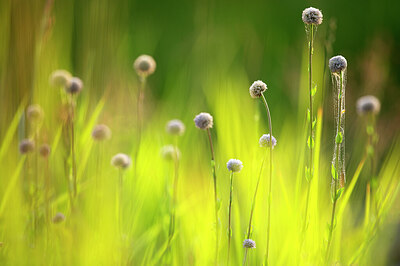 BUITEN BEELD Foto: 450003