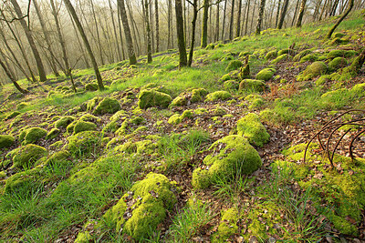 BUITEN BEELD Foto: 450015