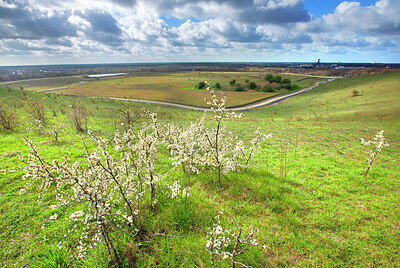 BUITEN BEELD Foto: 450017