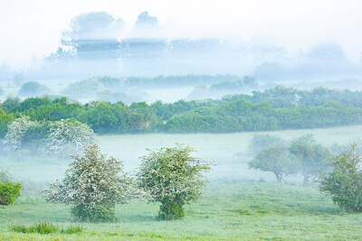BUITEN BEELD Foto: 450021