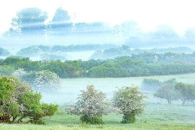 BUITEN BEELD Foto: 450022
