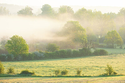 BUITEN BEELD Foto: 450027