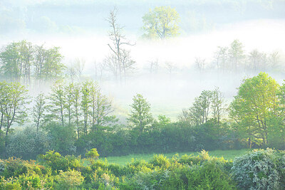 BUITEN BEELD Foto: 450030