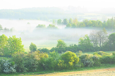 BUITEN BEELD Foto: 450031