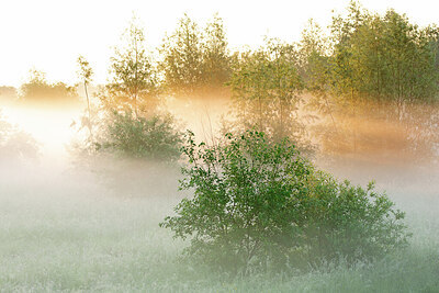 BUITEN BEELD Foto: 450035