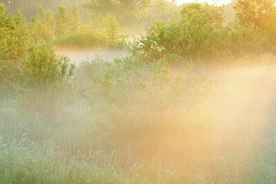 BUITEN BEELD Foto: 450037