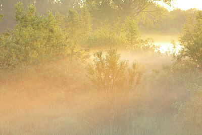 BUITEN BEELD Foto: 450038