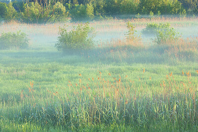 BUITEN BEELD Foto: 450039