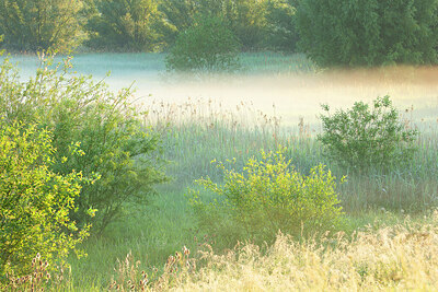 BUITEN BEELD Foto: 450040