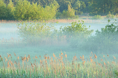 BUITEN BEELD Foto: 450041