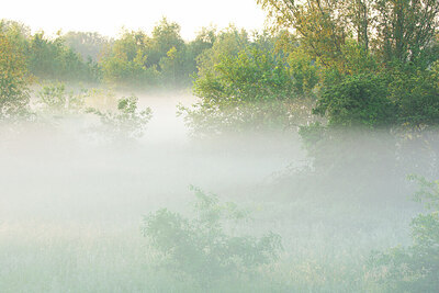 BUITEN BEELD Foto: 450043