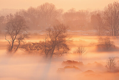 BUITEN BEELD Foto: 450044