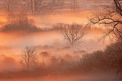 BUITEN BEELD Foto: 450045