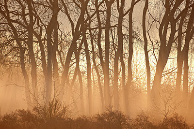 BUITEN BEELD Foto: 450047
