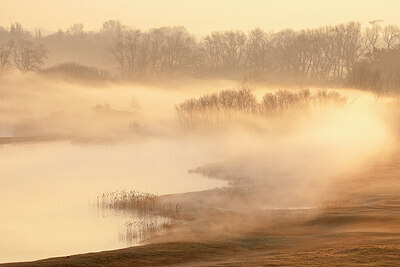 BUITEN BEELD Foto: 450048