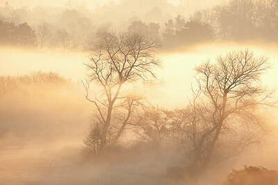 BUITEN BEELD Foto: 450049