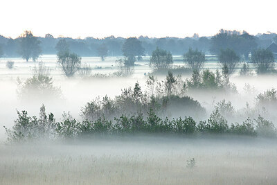BUITEN BEELD Foto: 450050
