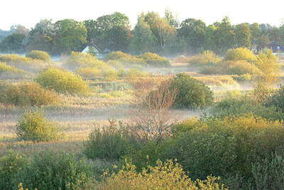 BUITEN BEELD Foto: 450051