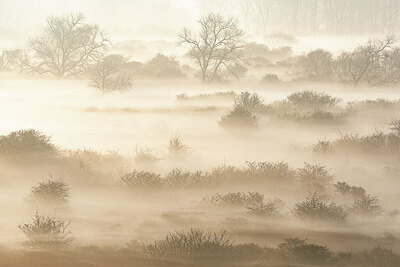 BUITEN BEELD Foto: 450053