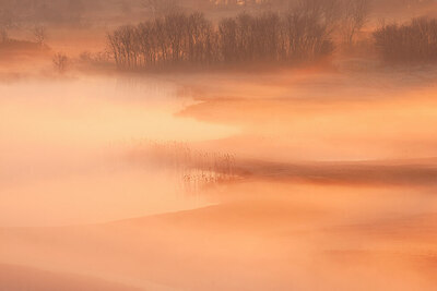 BUITEN BEELD Foto: 450072