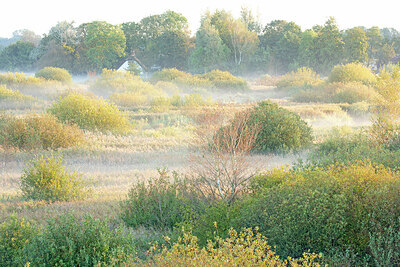 BUITEN BEELD Foto: 450073