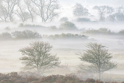 BUITEN BEELD Foto: 450074