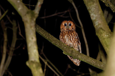 BUITEN BEELD Foto: 450090