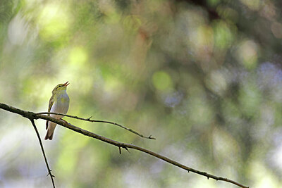 BUITEN BEELD Foto: 450107