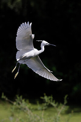 BUITEN BEELD Foto: 450144
