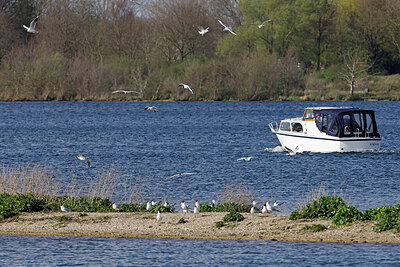 BUITEN BEELD Foto: 450150