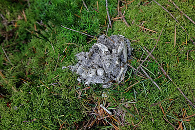 BUITEN BEELD Foto: 450162