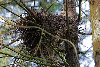 BUITEN BEELD Foto: 450207