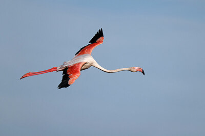BUITEN BEELD Foto: 450227
